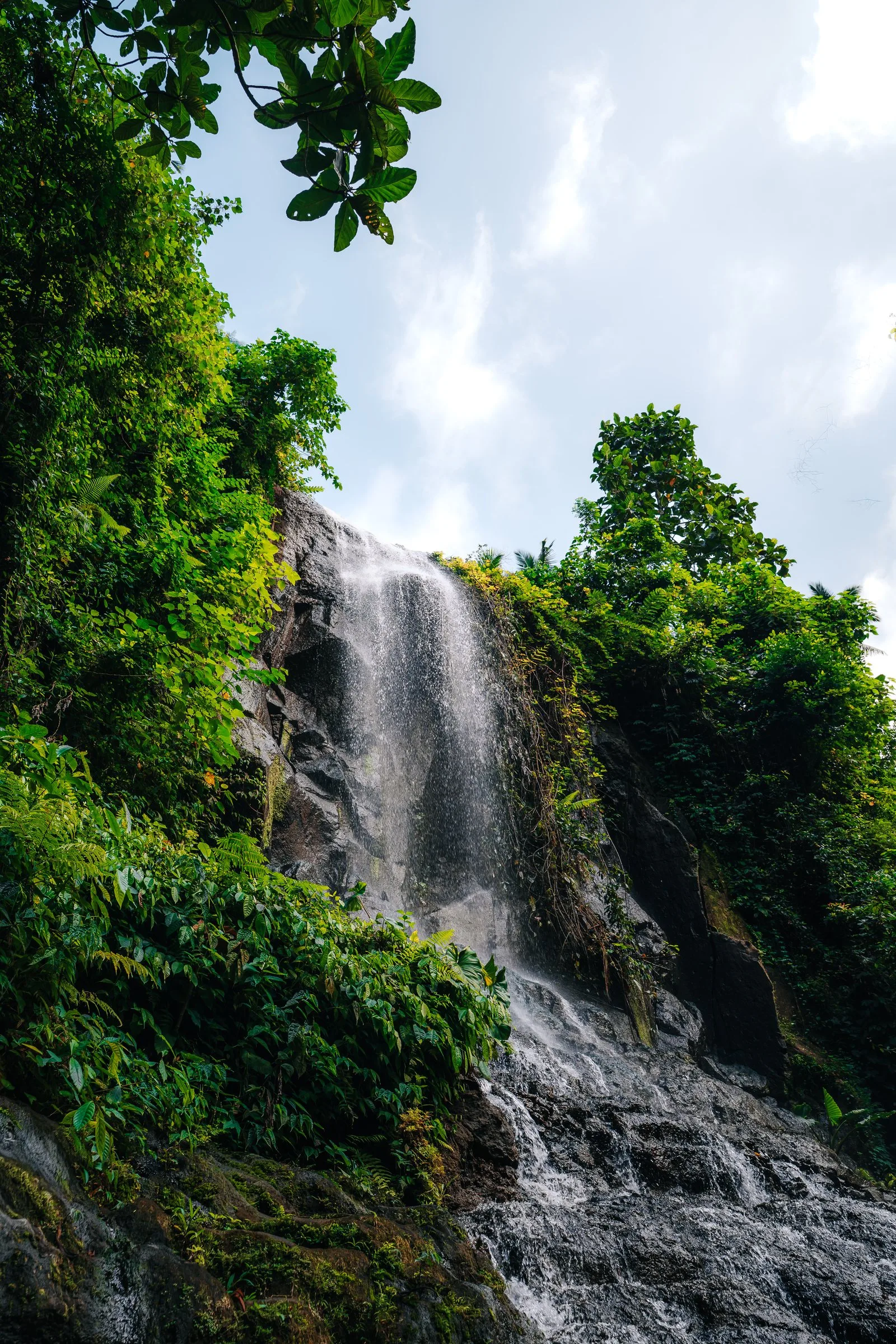 Une cascade au milieu de la végétation tropicale