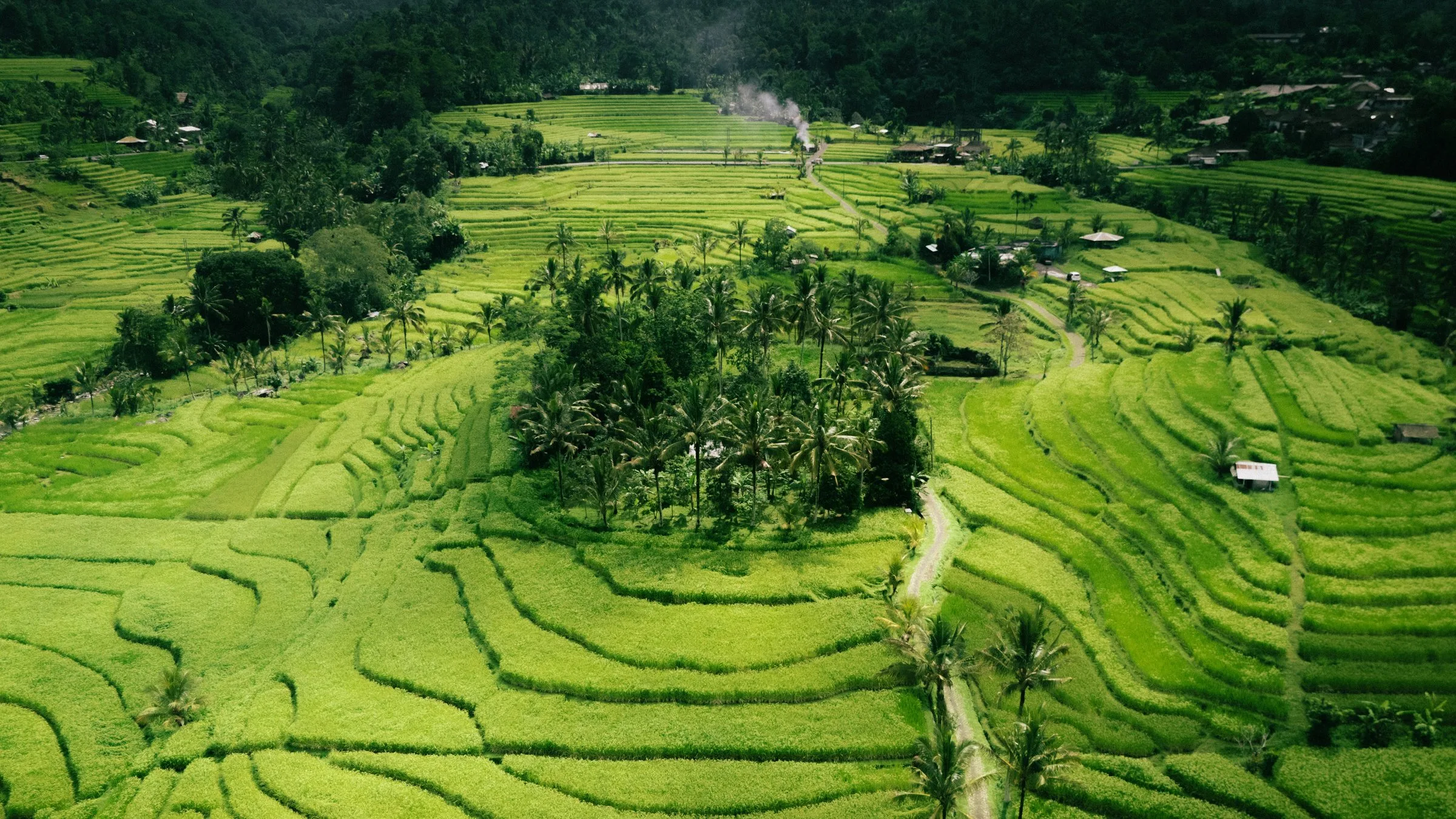 Vue aérienne des rizières en terrasses à Bali