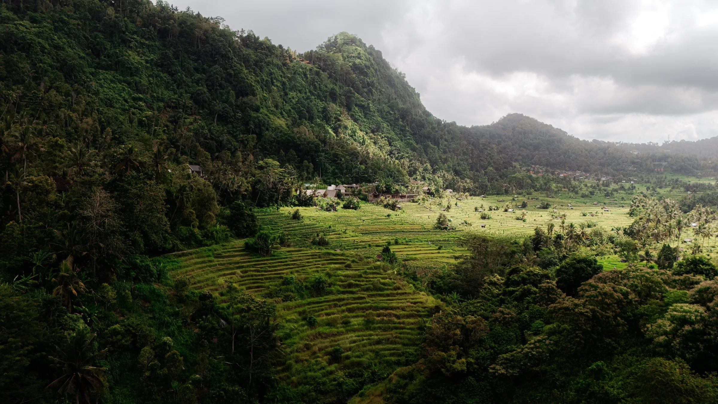 Une vallée verdoyante et ses rizières au pied des montagnes