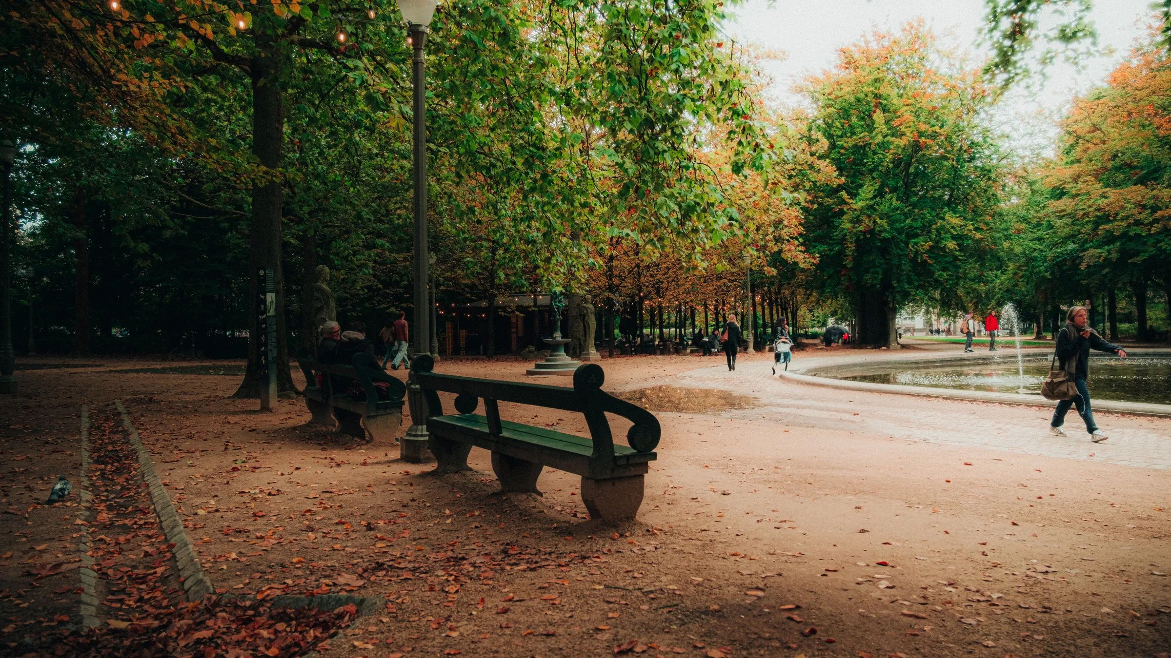 Un banc dans un parc en automne