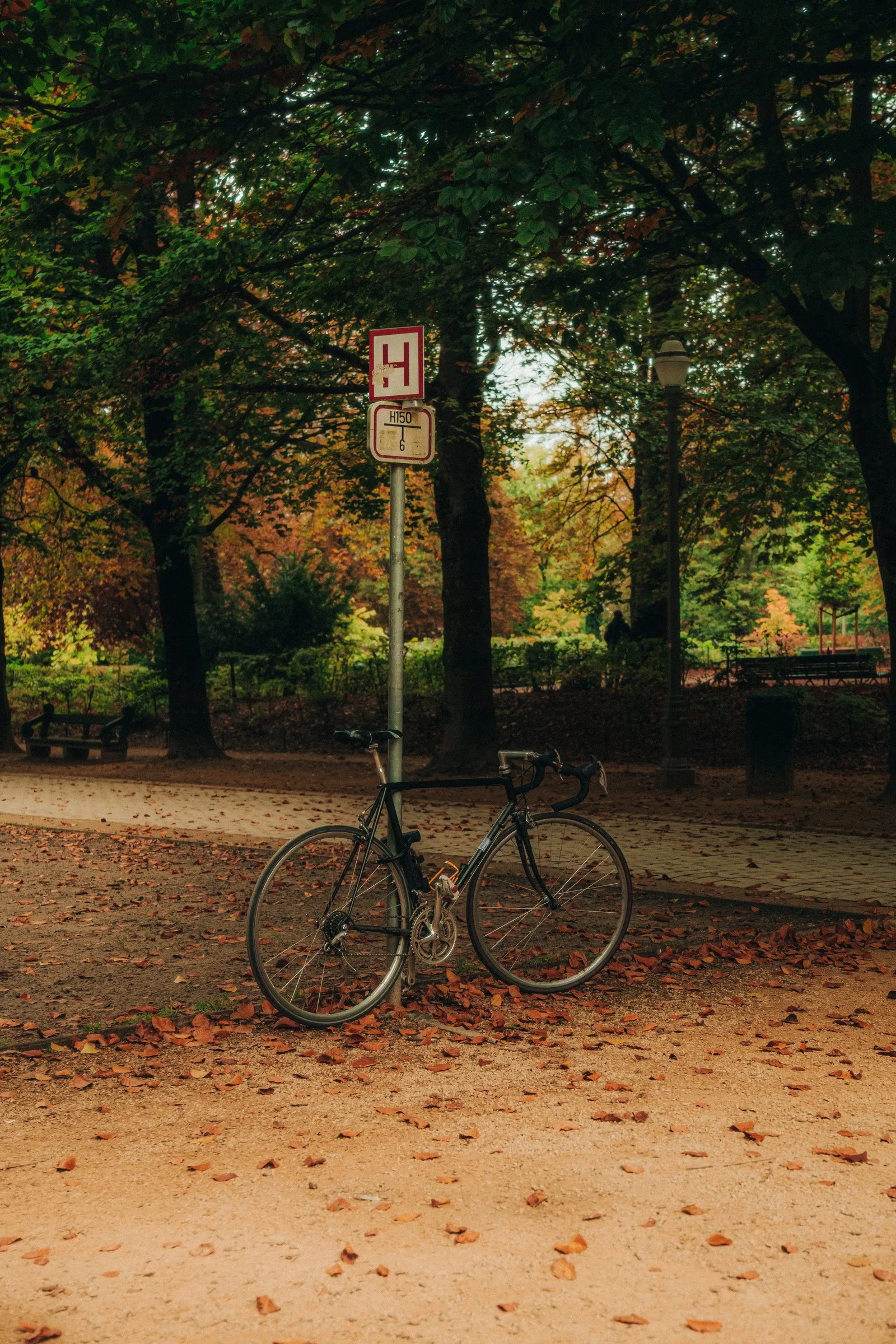 Un vélo sous les arbres en automne