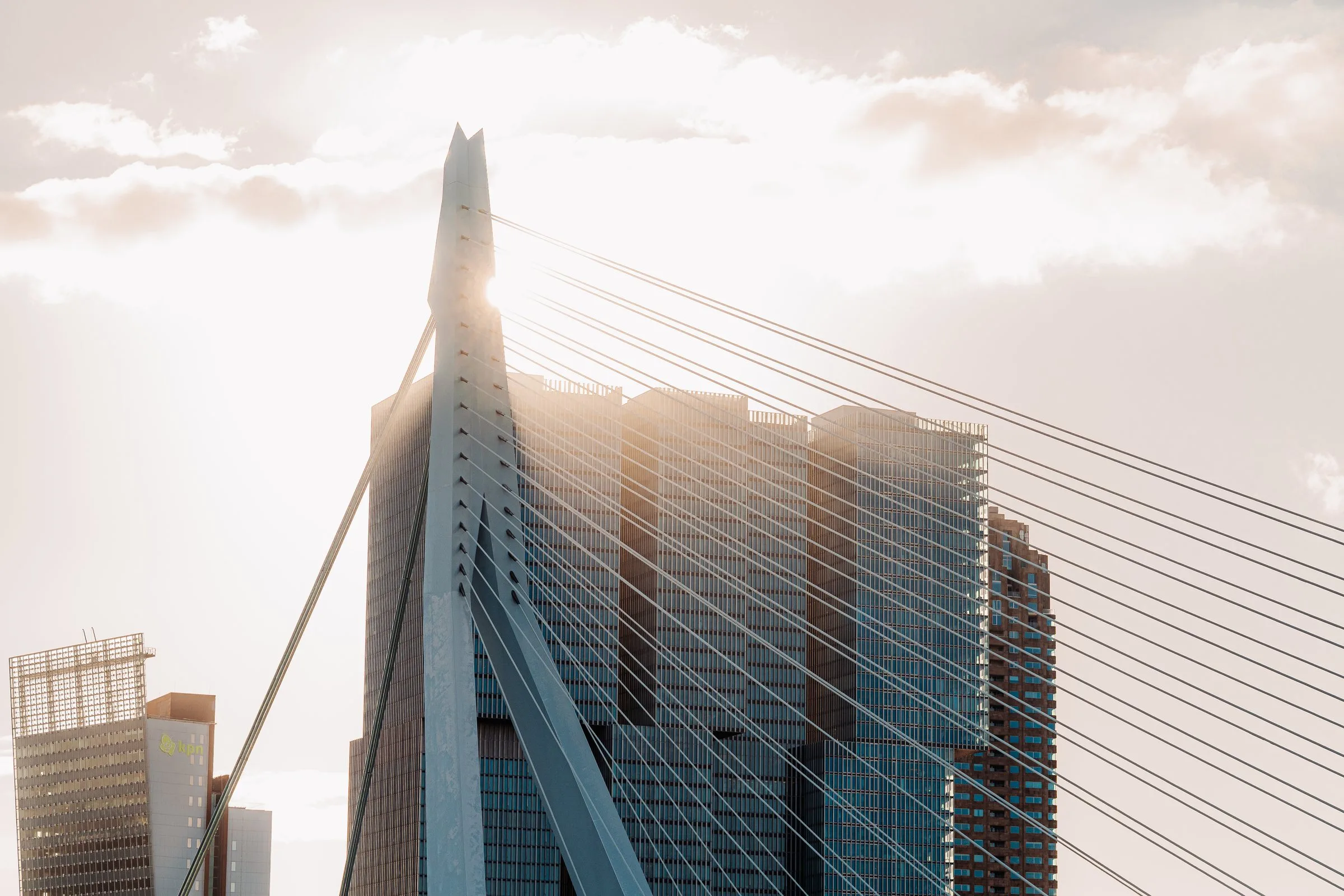 Le pont Érasme devant les tours de Rotterdam, à contre-jour