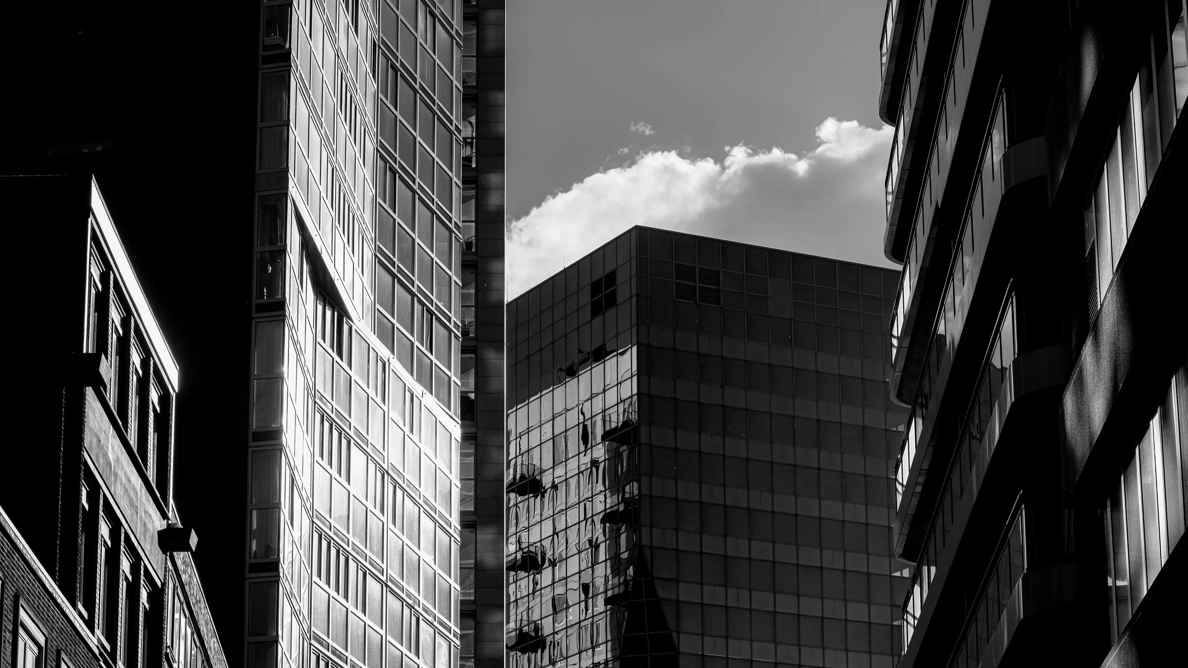 Tours de verre et d’acier à Rotterdam, en noir et blanc