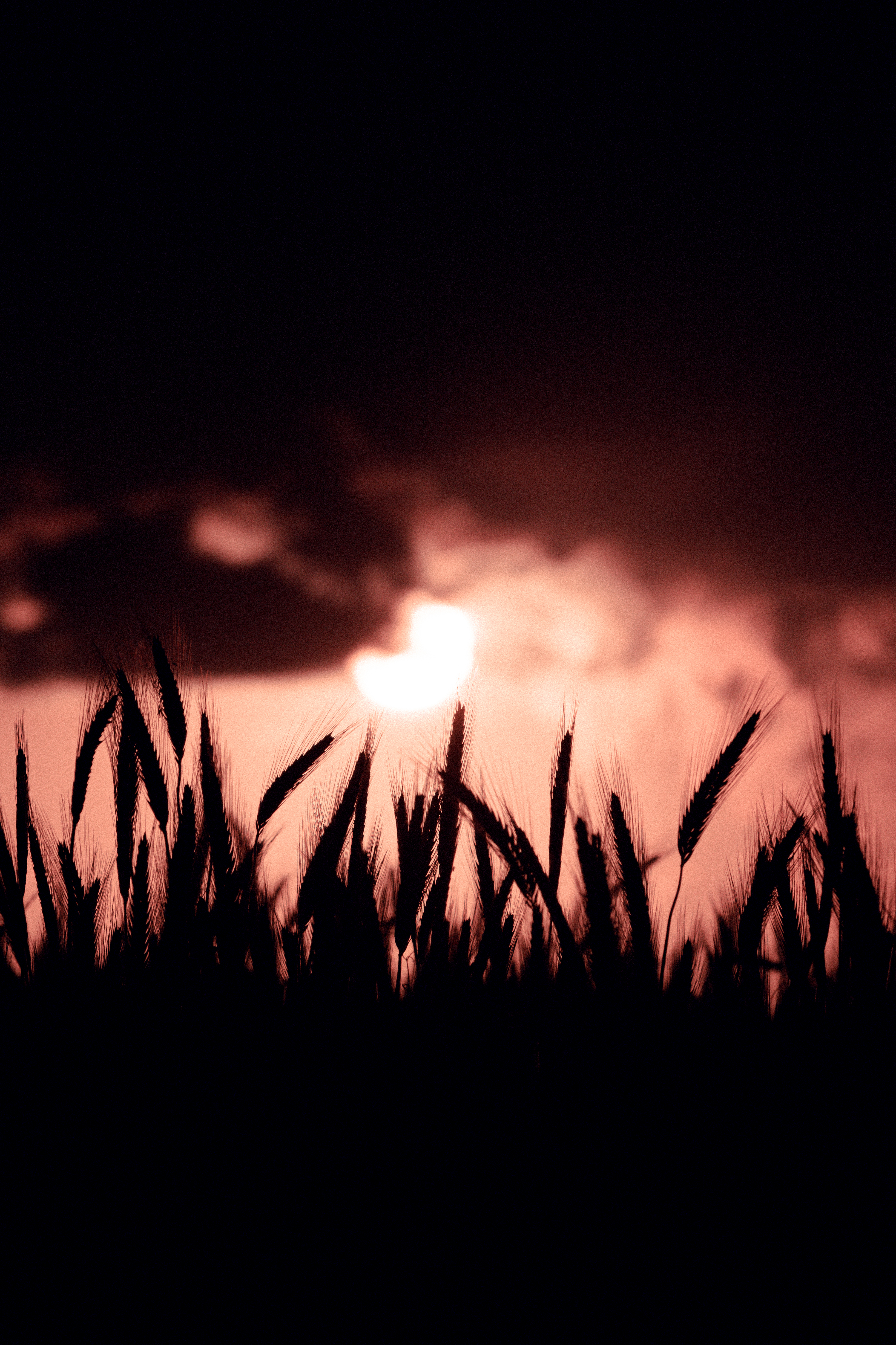 Clément Capelle Photographe – Vendée et France entière